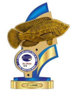 WhatsApp Image 2025-07-01 at 13.13.19 (2)